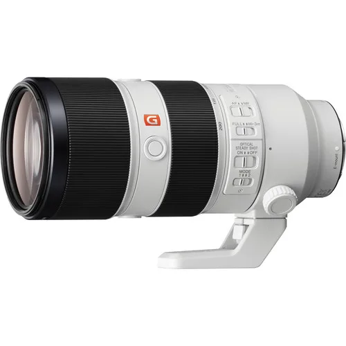Sony 70-200 i Gm Zebra