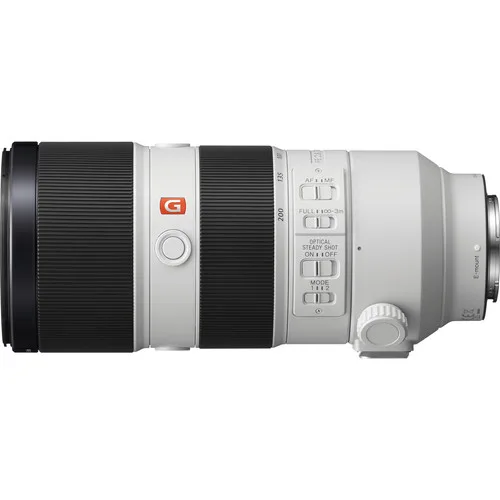 Sony 70-200 i Gm Zebra photo 2