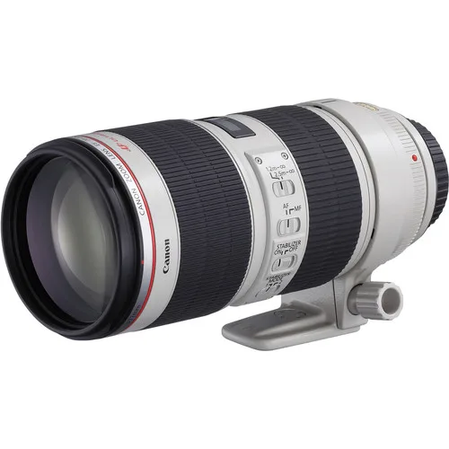 Canon 70-200mm ii Zebra