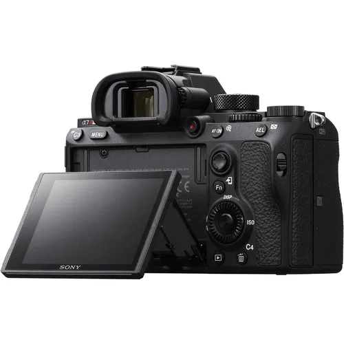 Sony 7R iii photo 3