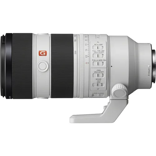 Sony 70-200 ii Gm zebra photo 2