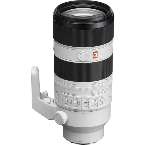 Sony 70-200 ii Gm zebra