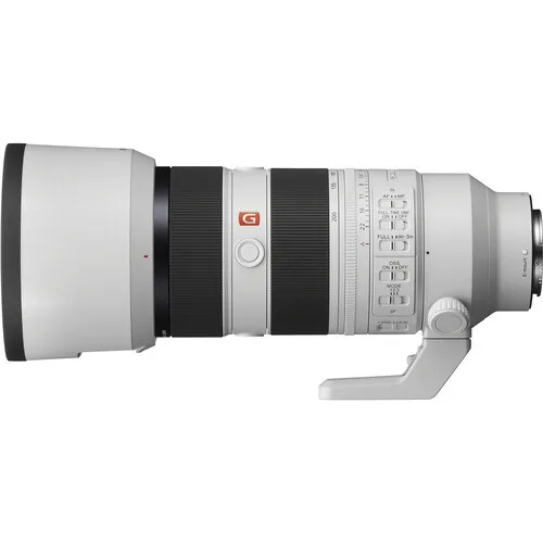 Sony 70-200 ii Gm zebra photo 3