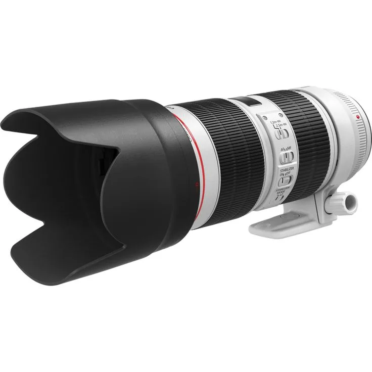Canon 70-200 iii zebra