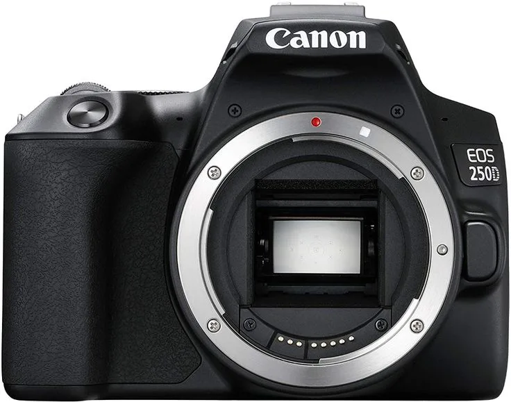 Canon 250D with 18-55mm photo 3